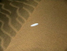 sand_feder01