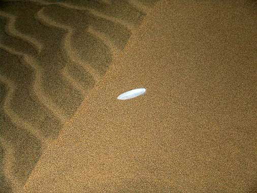 sand_feder01