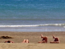 strand_beine01